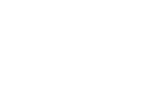 Dragon capital