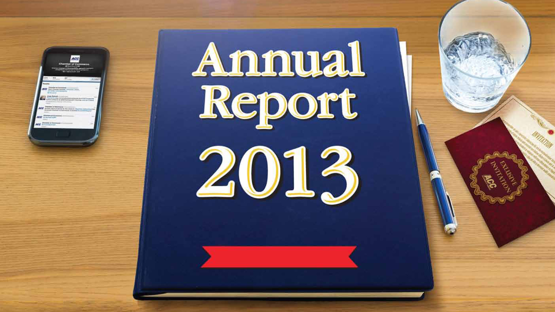 Annual Report 2013