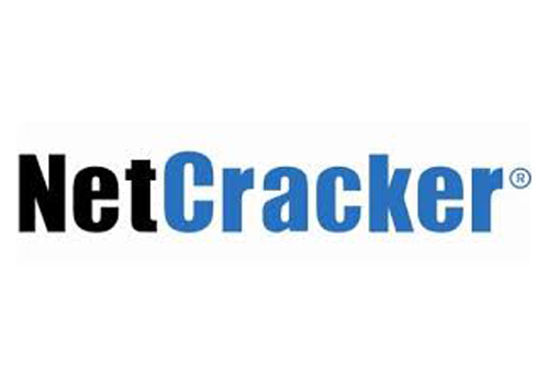 Что представляет собой компьютерная система netcracker technology