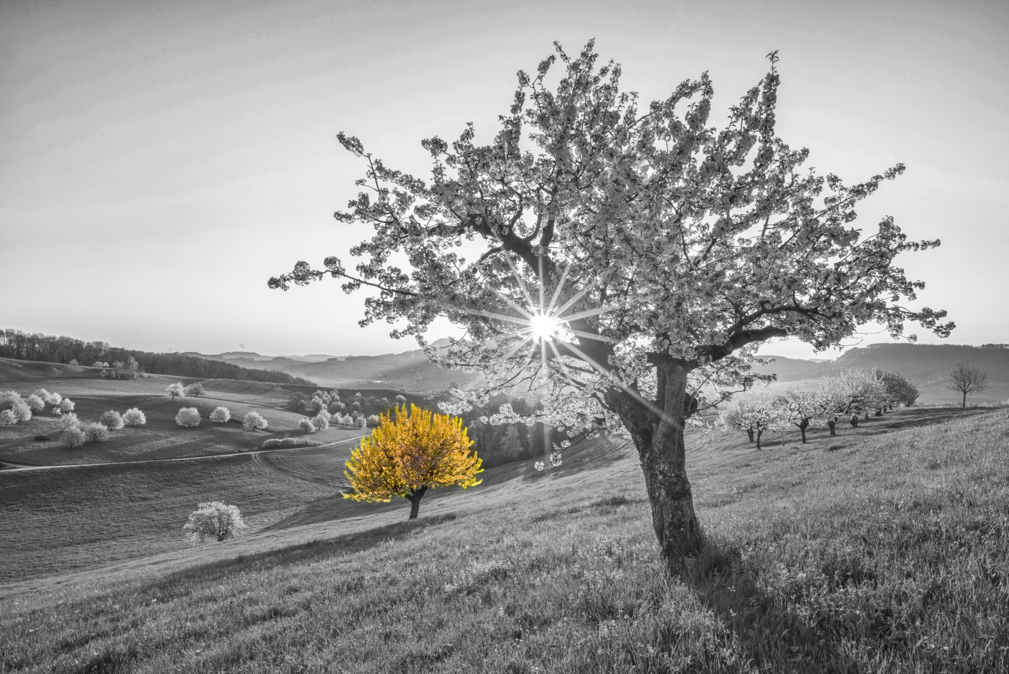 Економія до 20% на оренду автомобілів Hertz у Швейцарії