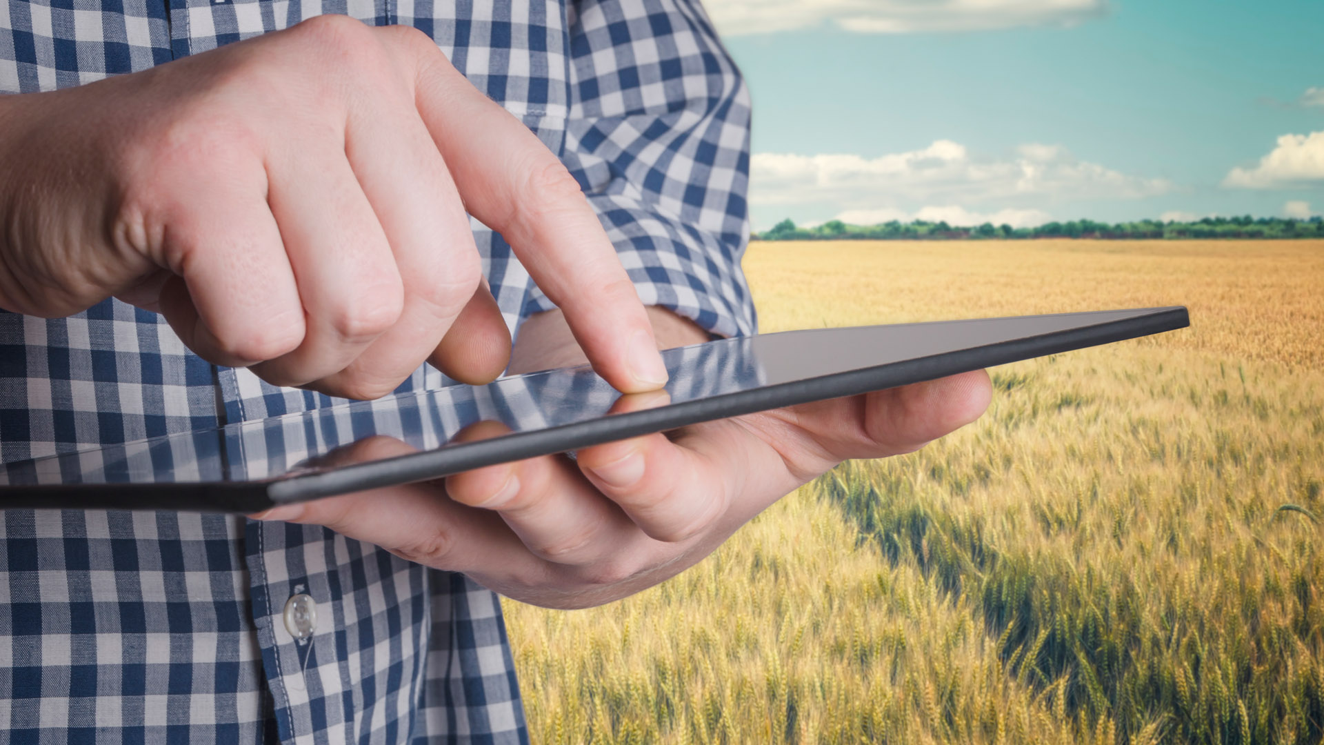 Policy Progress: The American Chamber of Commerce in Ukraine Welcomes the Step Towards Digitalization in Agricultural Sphere