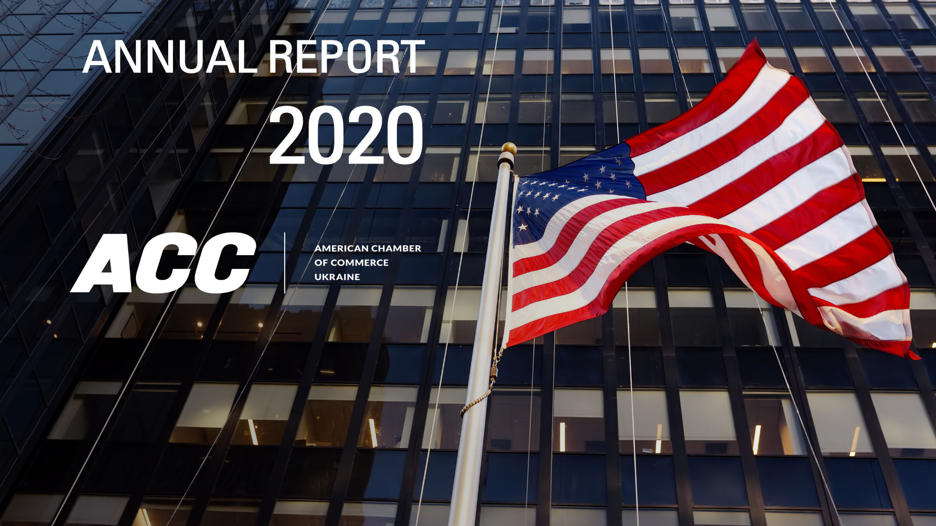 Щорічний звіт 2020
