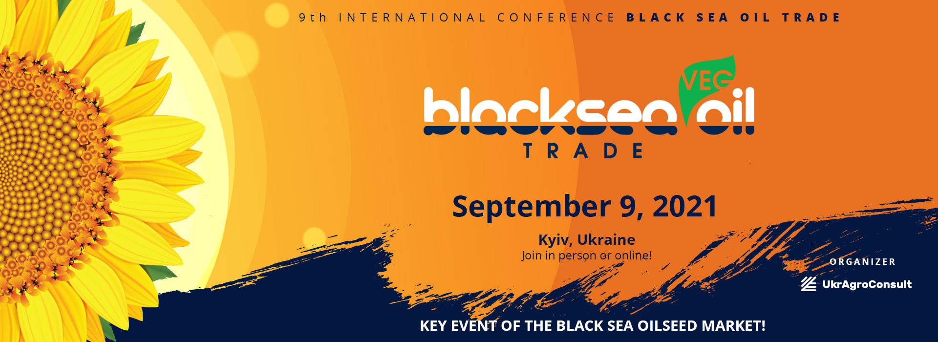 IX International Conference 