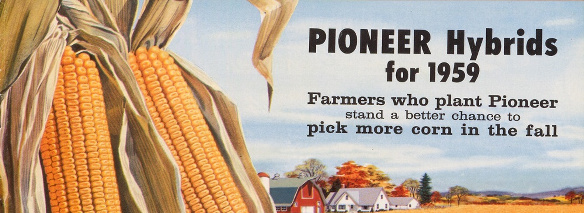 Бренд Pioneer® відзначає 97 років досвіду гібридизації кукурудзи