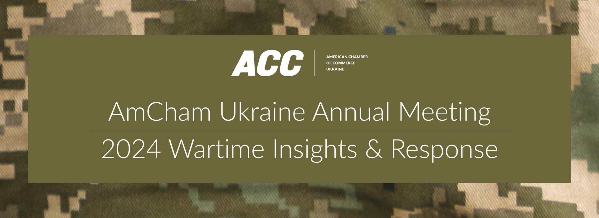 AmCham Ukraine Annual Meeting – 2024 Wartime Insights & Response