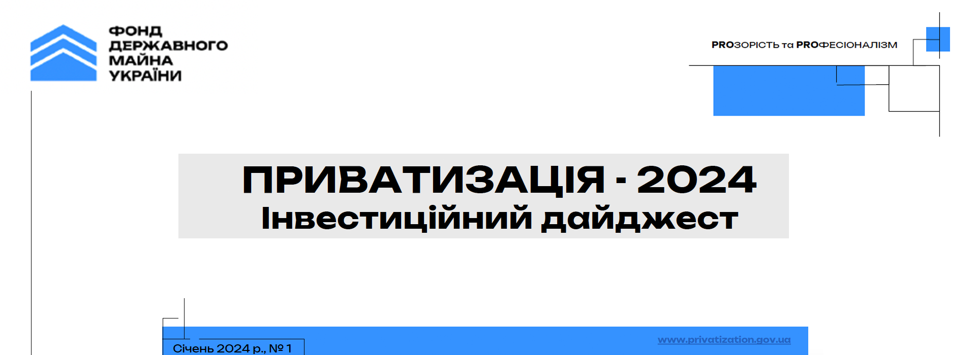 Інвестиційний дайджест: приватизація 2024