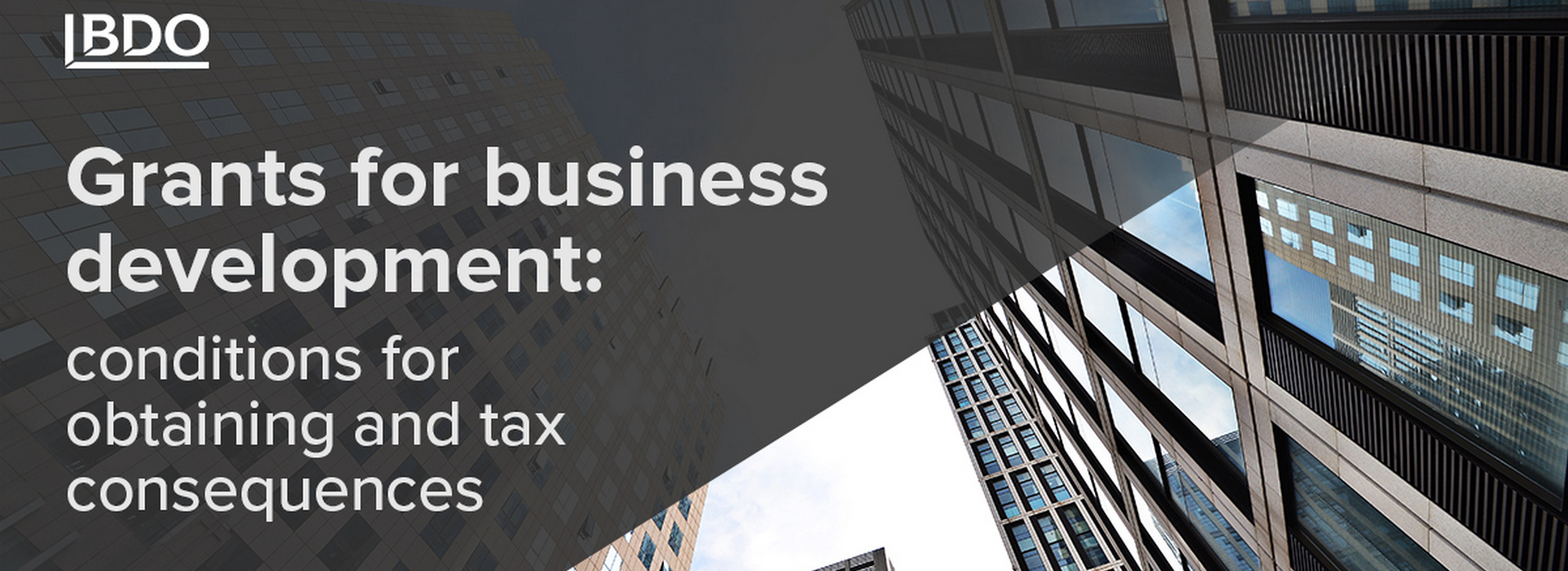 BDO in Ukraine: Your Partner in Exploring Grant Support and Tax Implications for Business Development