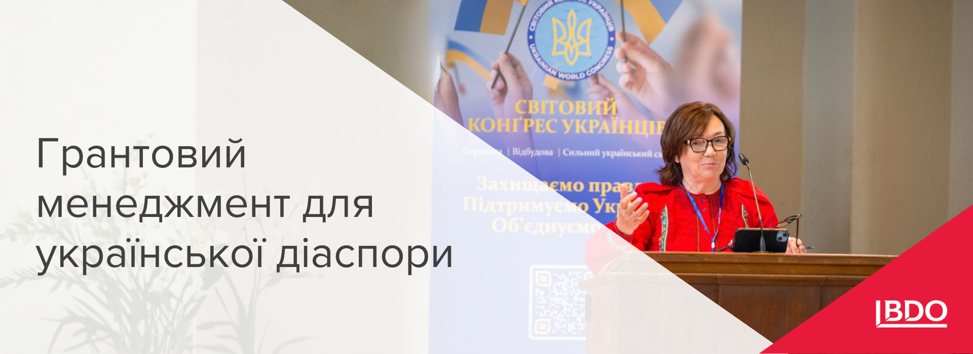 BDO в Україні: грантовий менеджмент для української діаспори